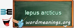 WordMeaning blackboard for lepus arcticus